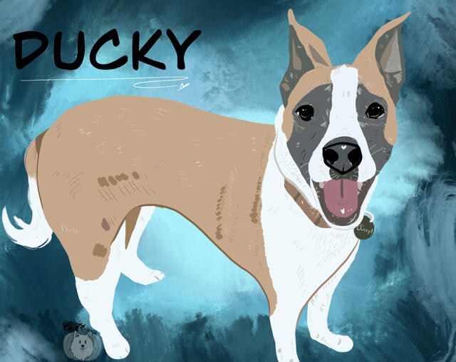 Ducky