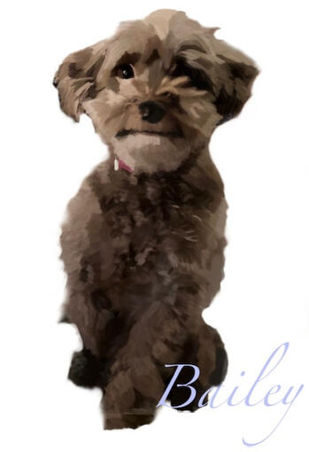 Bailey