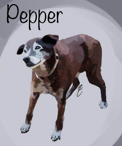 Pepper