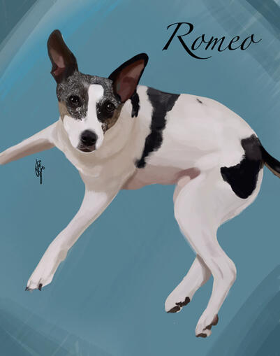 Romeo