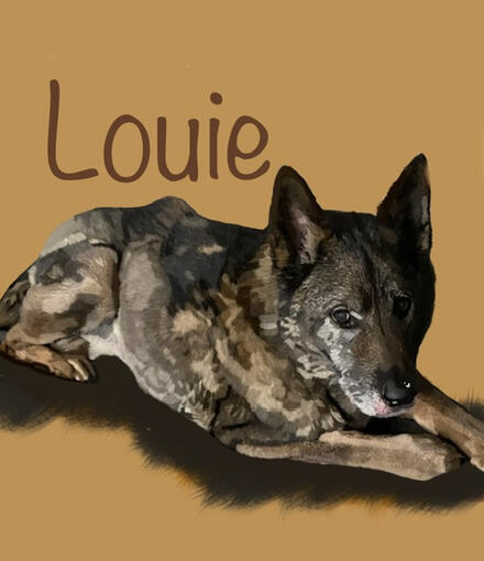 Louie