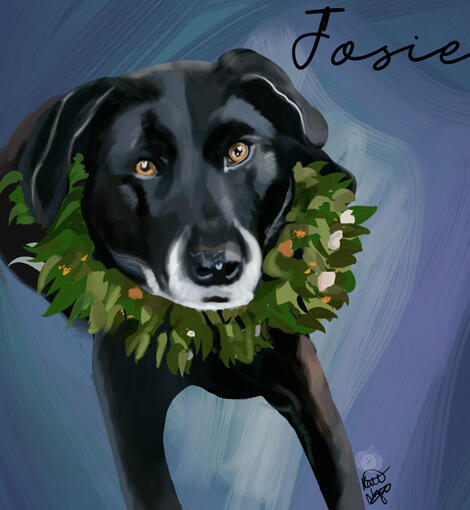 Josie