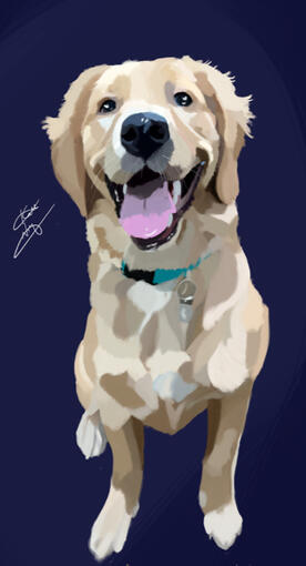 Zoey