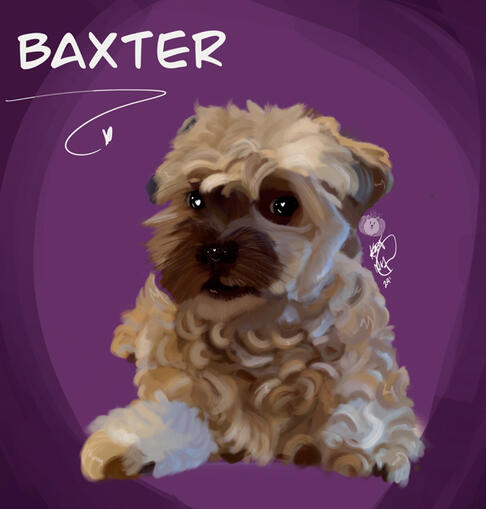 Baxter