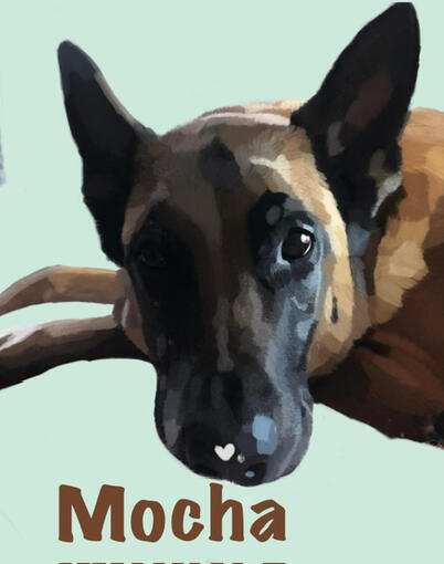 Mocha