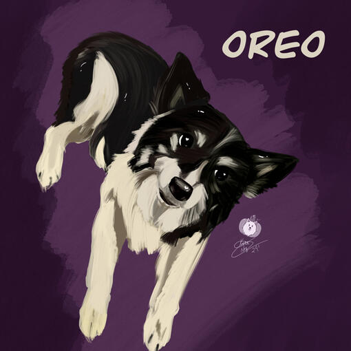 Oreo