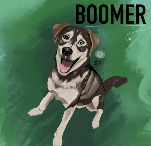 Boomer