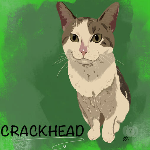 Crackhead