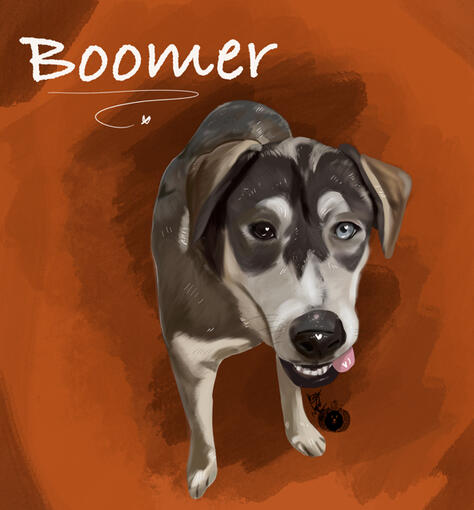 Boomer